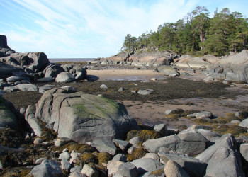 Остров Кий, Россия. Фото 21 – фотографии России