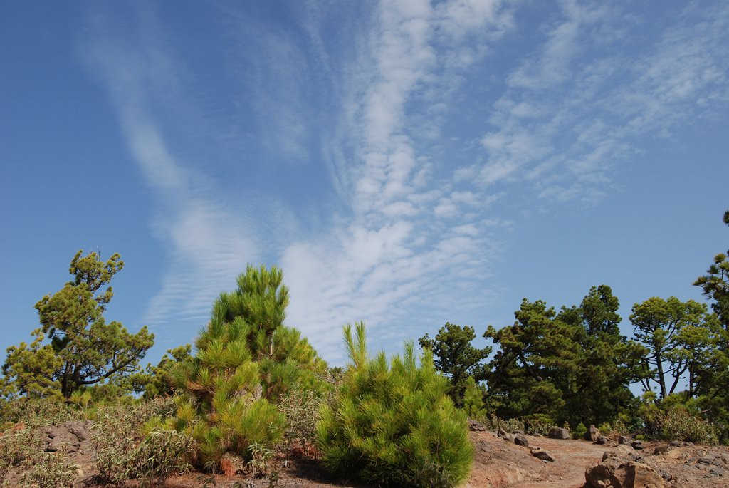 Эль-Пасо, Ла-Пальма остров, Канарские острова, фото № 32316 – фотографии Канарских островов