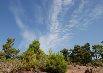 Эль-Пасо, Ла-Пальма остров, Канарские острова, фото № 32316 – фотографии Канарских островов