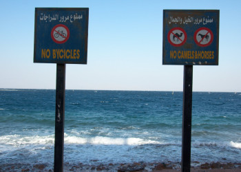 Дахаб, Египет, фото № 74145 – фотографии Египта