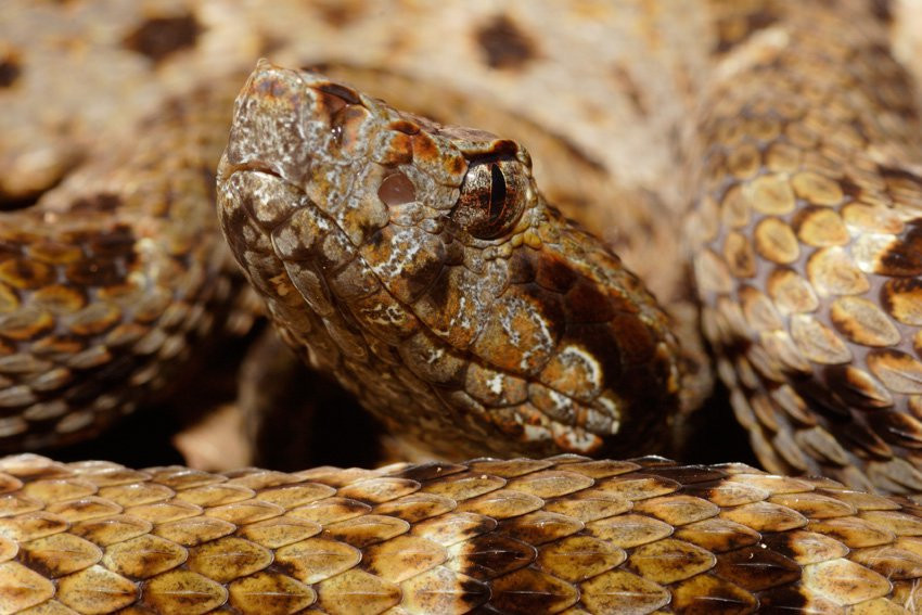 Французская Гвиана, фото № 2103 – фотографии Французской Гвианы