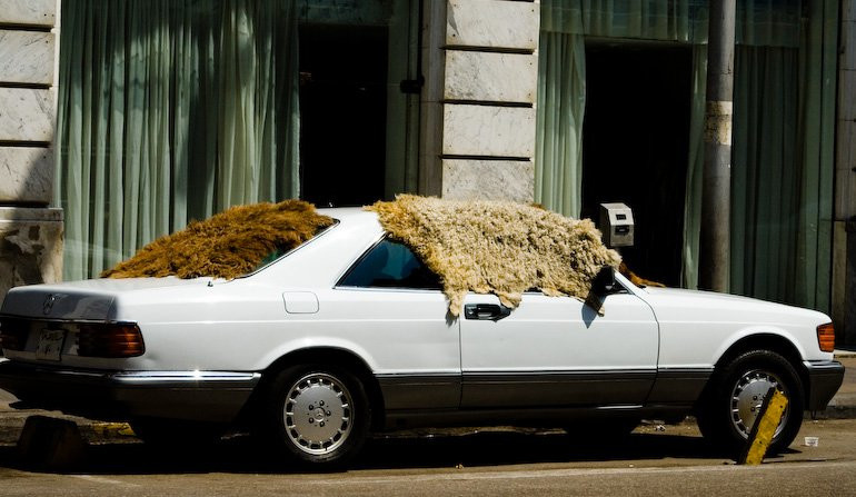 Каир, Египет, фото № 35154 – фотографии Египта