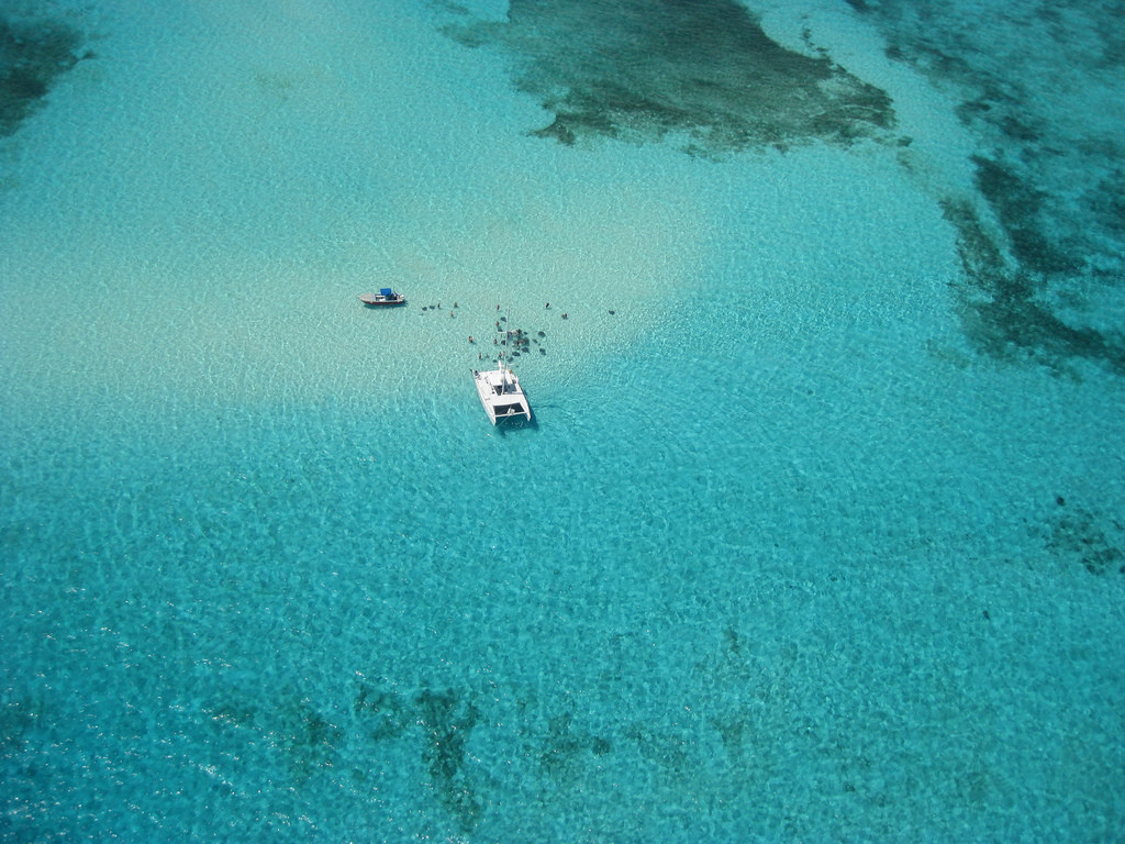 Стингрей Сити или "Город скатов", Большой Кайман. Фото 12 – фотографии Каймановых островов