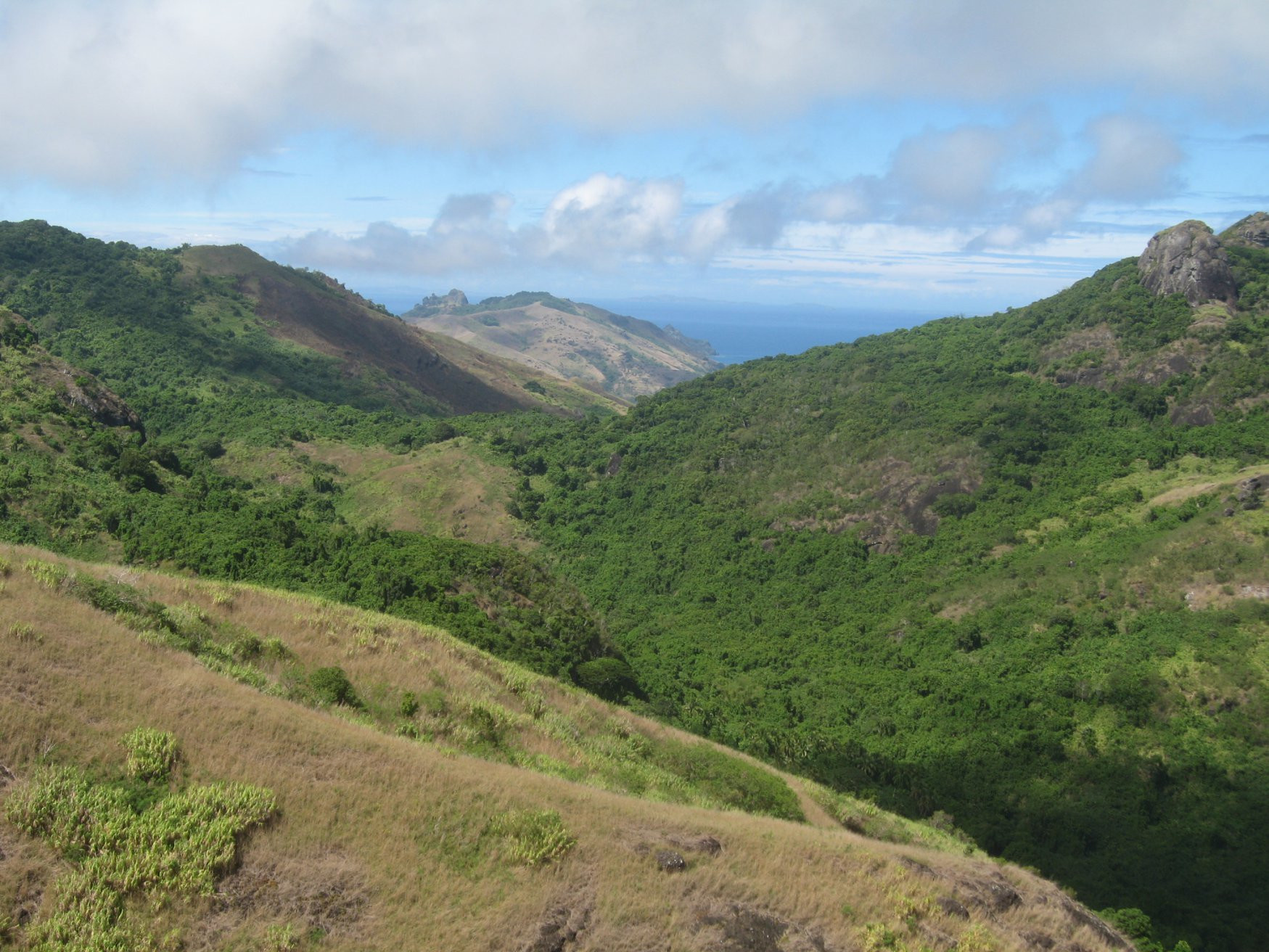 Вайа остров, Ясава группа островов, Фиджи, фото № 49880 – фотографии Фиджи