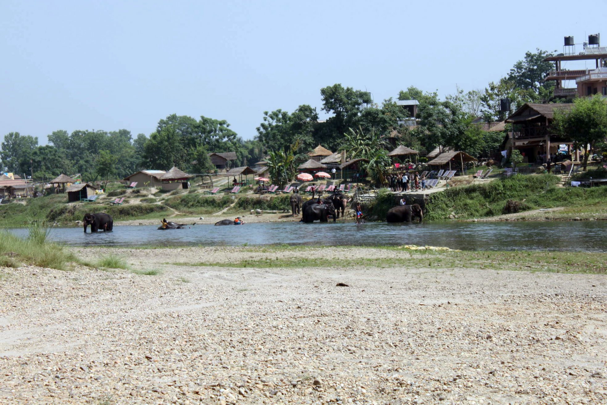 Читван Национальный Парк, Непал, фото № 79022 – фотографии Непала