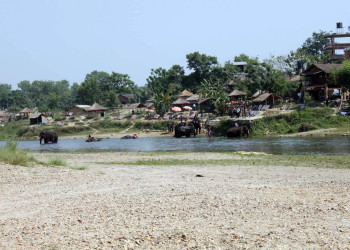 Читван Национальный Парк, Непал, фото № 79022 – фотографии Непала