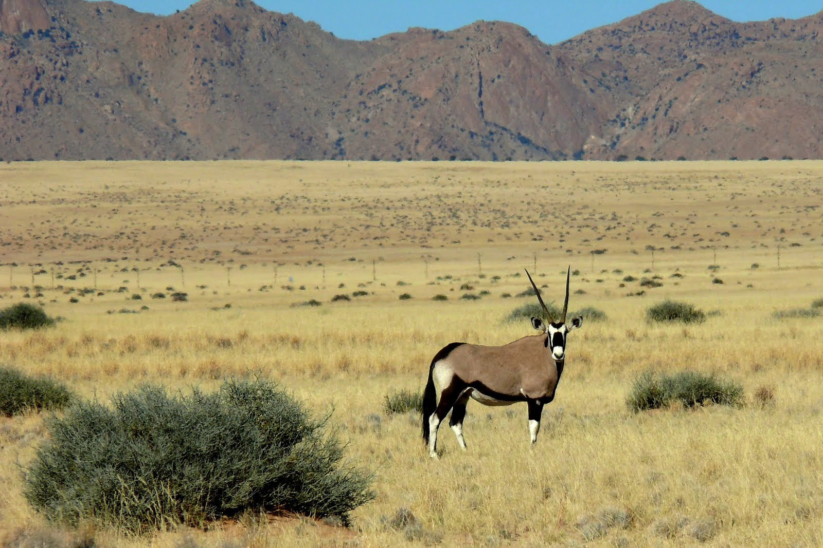 Намибия, фото № 5569 – фотографии Намибии