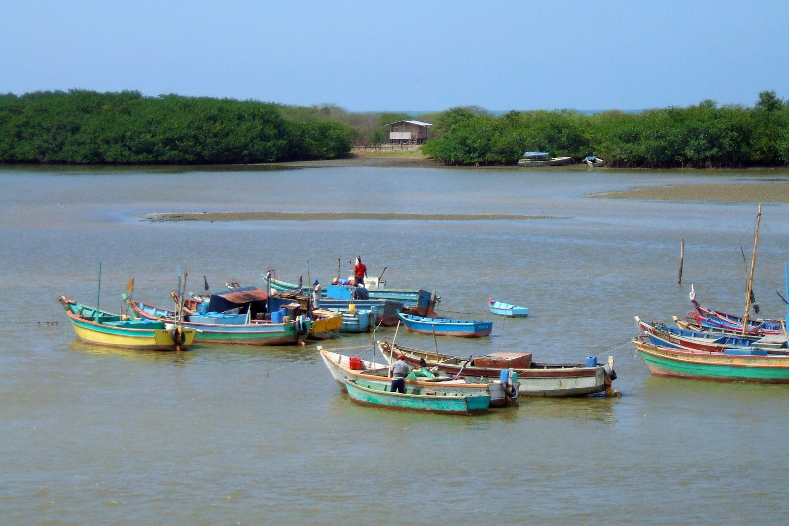 Прибрежный городок Пуэрто-Писарро – фотографии Перу