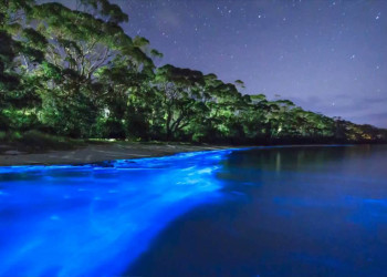 Светящийся пляж, остров Ваадху (Vaadhoo), Мальдивы – фотографии Мальдивских островов