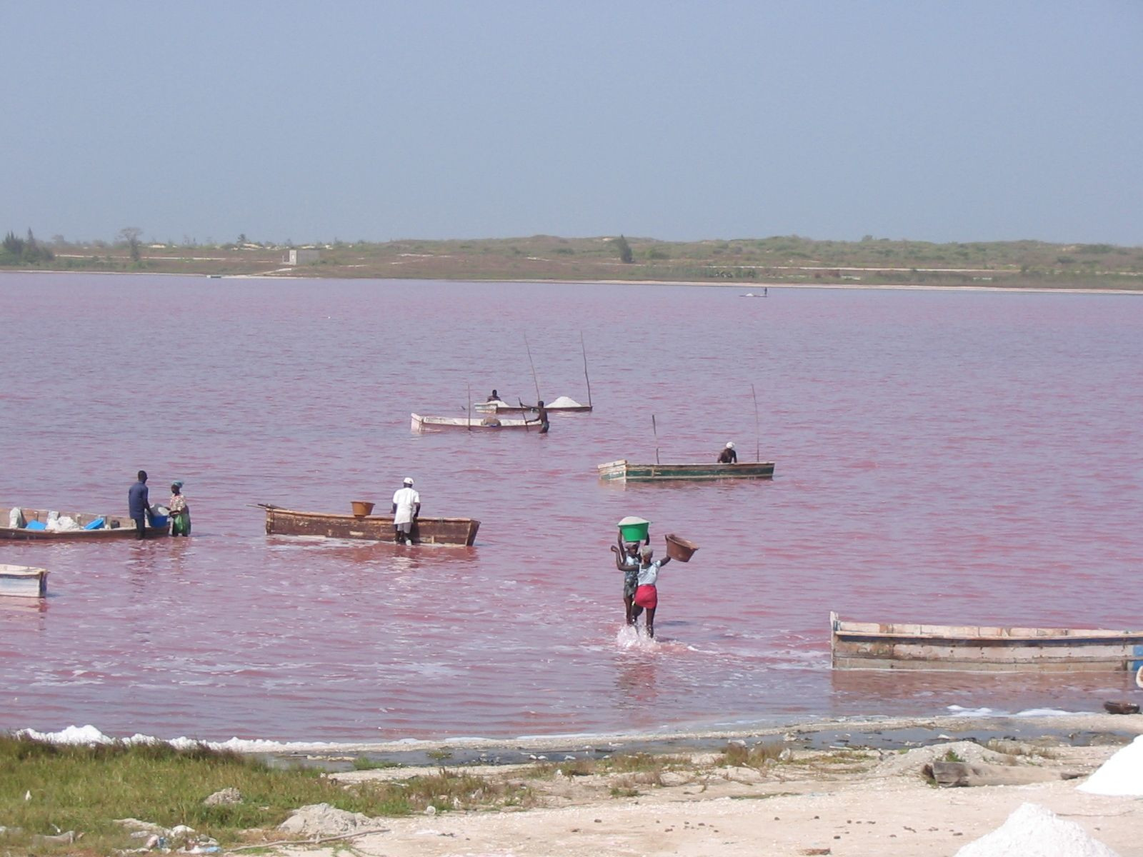 Розовое озеро в Сенегале – фотографии Сенегала