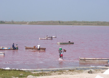 Розовое озеро в Сенегале – фотографии Сенегала