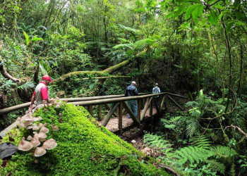 Национальный парк Ла-Тигра, Гондурас, фото 2 – фотографии Гондураса