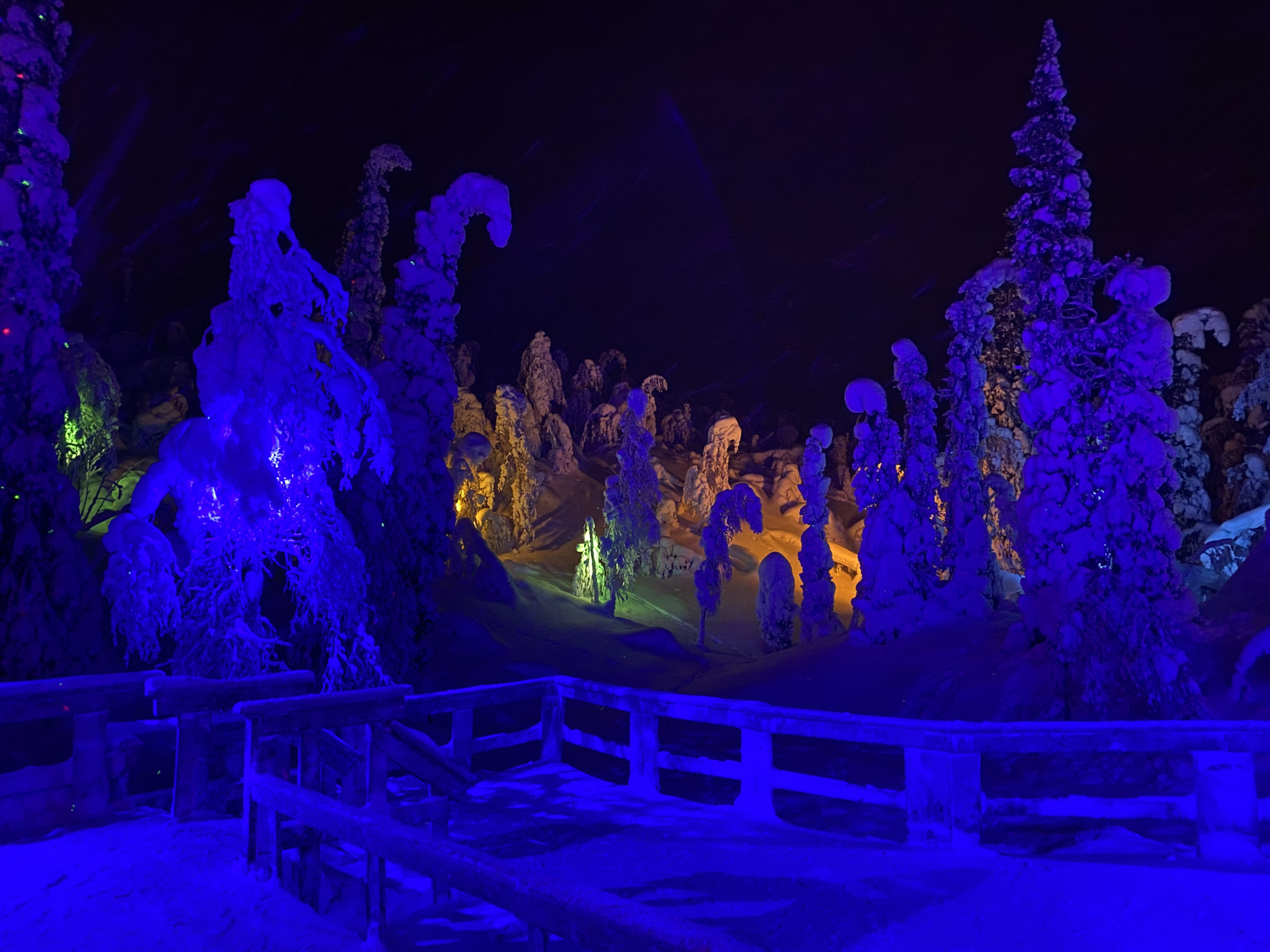 Иллюминация территории парка «Таинственный лес», Кировск – фотографии России