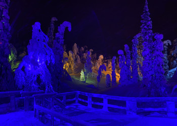 Иллюминация территории парка «Таинственный лес», Кировск – фотографии России
