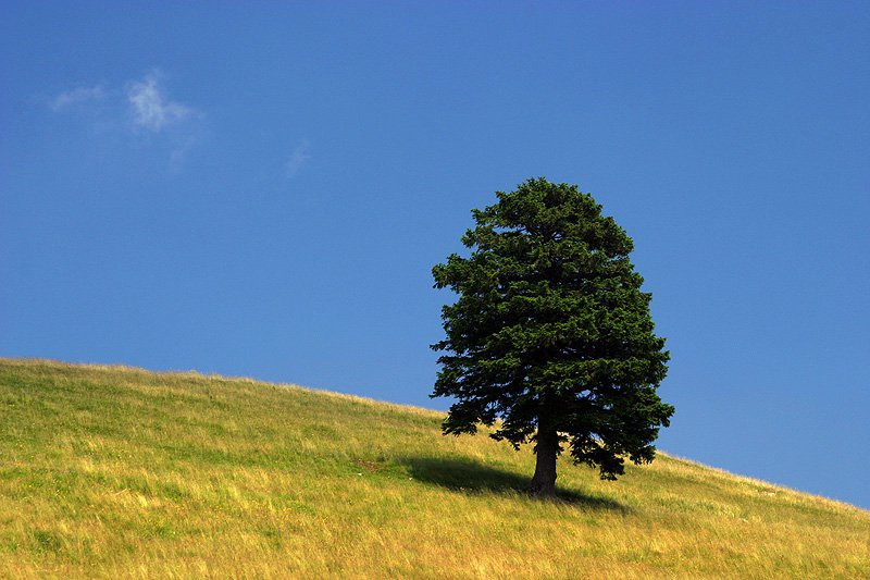 Велика Планина, Словения, фото № 56973 – фотографии Словении