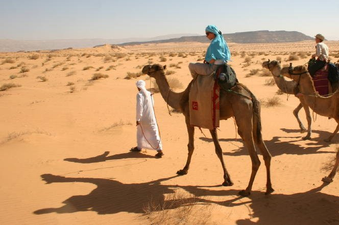 Нувейба, Египет, фото № 35361 – фотографии Египта