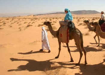 Нувейба, Египет, фото № 35361 – фотографии Египта