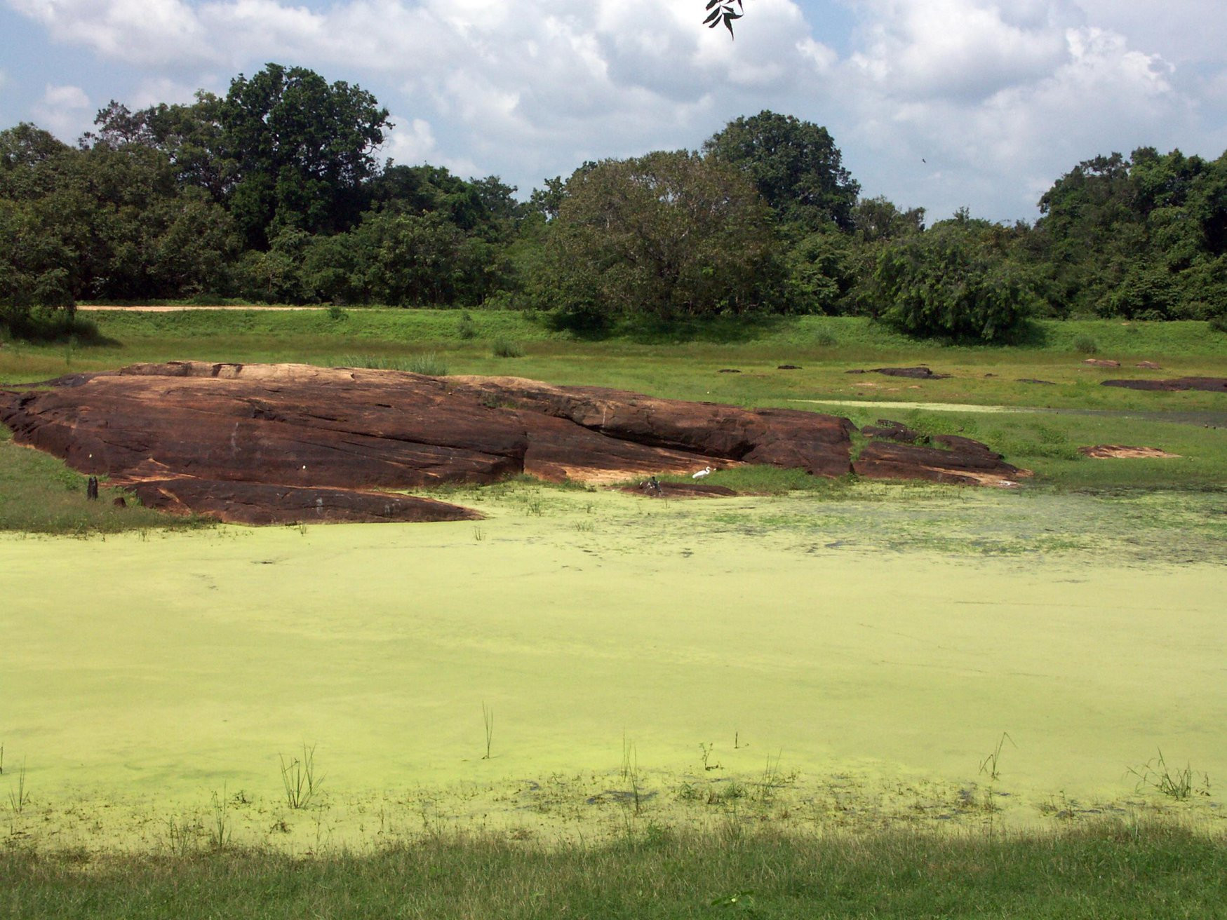 Полоннарува, Шри-Ланка, фото № 52192 – фотографии Шри-Ланки