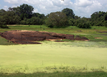 Полоннарува, Шри-Ланка, фото № 52192 – фотографии Шри-Ланки