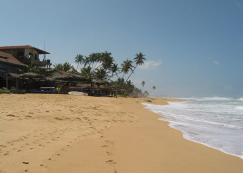 Хиккадува, Шри-Ланка, фото № 52535 – фотографии Шри-Ланки