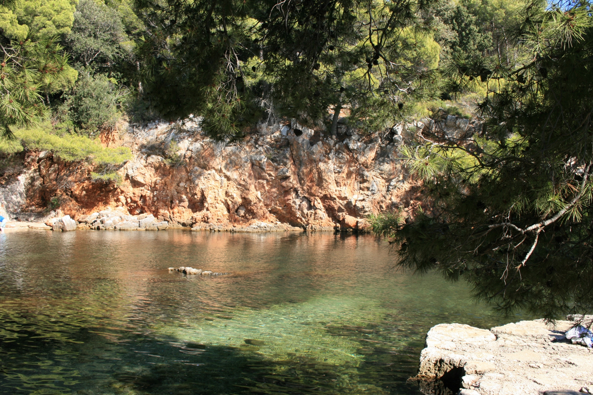 Природа на острове Локрум, Хорватия. Фото 8 – фотографии Хорватии