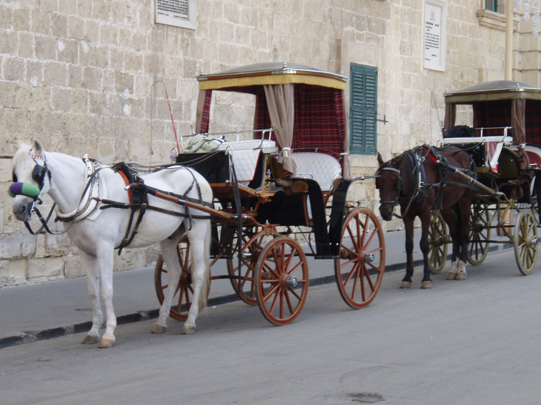 Валлетта, Мальта остров, Мальта, фото № 42148 – фотографии Мальты