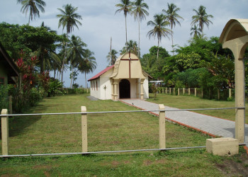 Тортугеро, Лимон провинция, Коста-Рика, фото № 40302 – фотографии Коста-Рики