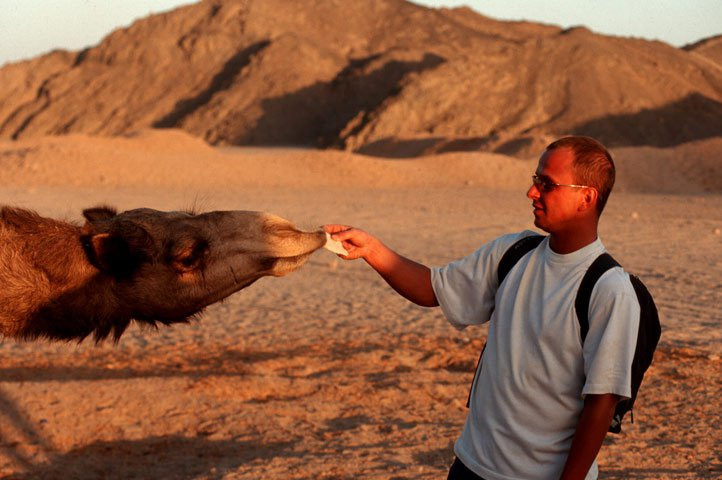 Хургада, Египет, фото № 35526 – фотографии Египта