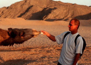 Хургада, Египет, фото № 35526 – фотографии Египта