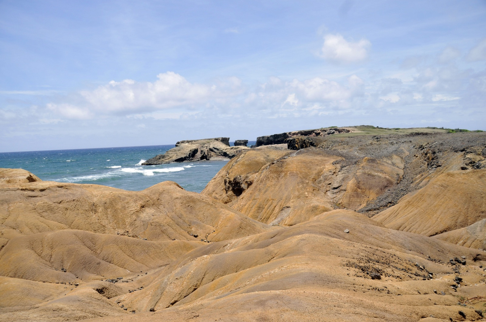 Саванна ископаемых – фотографии Мартиники