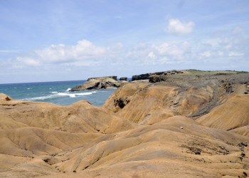 Саванна ископаемых – фотографии Мартиники