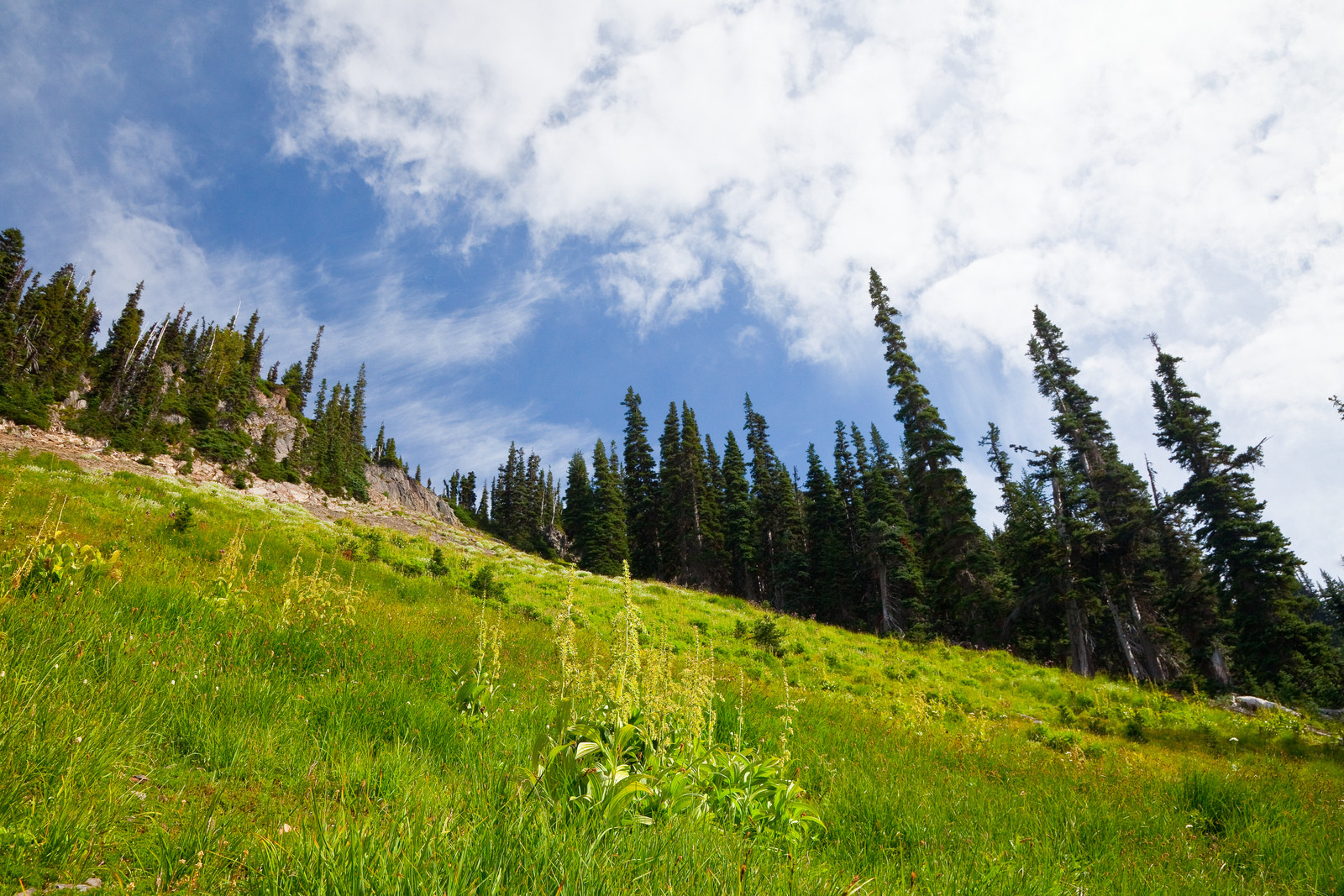 Красоты национального парка Олимпик. Фото 3 – фотографии США