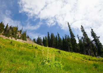 Красоты национального парка Олимпик. Фото 3 – фотографии США
