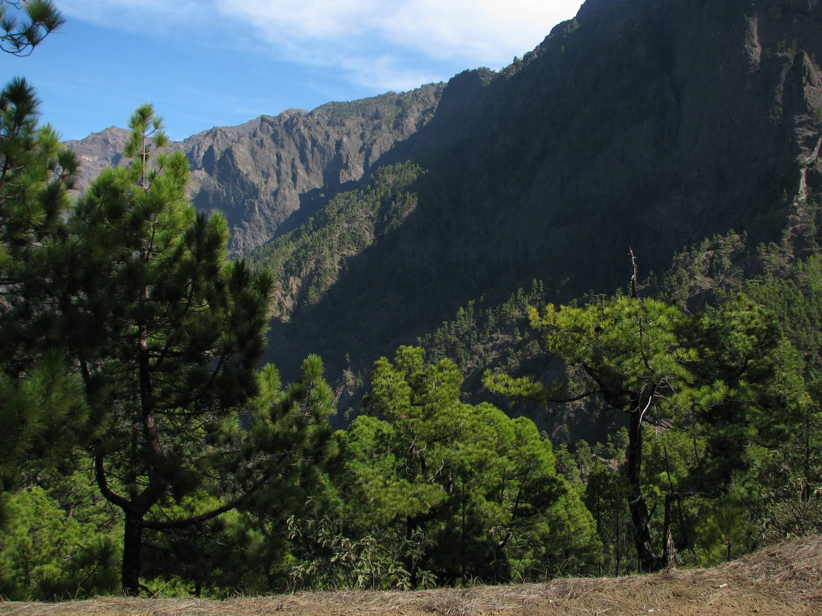 Ла-Пальма остров, Канарские острова, фото № 32077 – фотографии Канарских островов