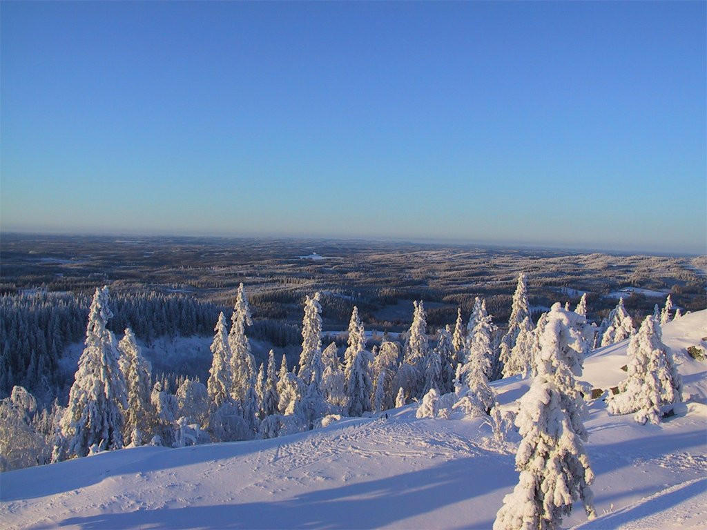 Коли, Финляндия, фото № 74563 – фотографии Финляндии