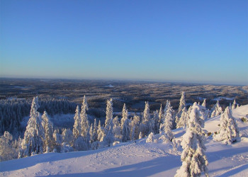 Коли, Финляндия, фото № 74563 – фотографии Финляндии