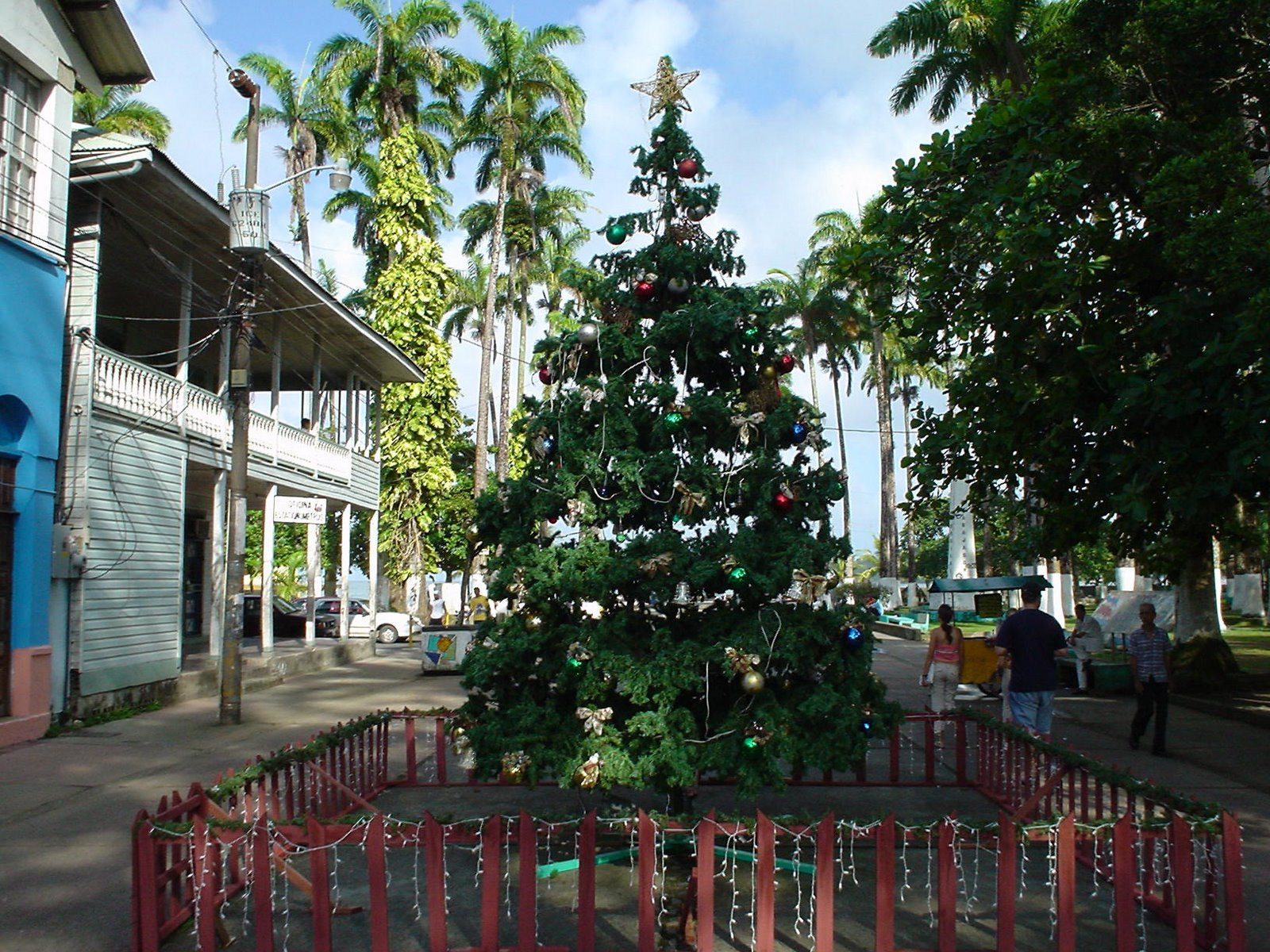 Пуэрто Лимон, Лимон провинция, Коста-Рика, фото № 40279 – фотографии Коста-Рики