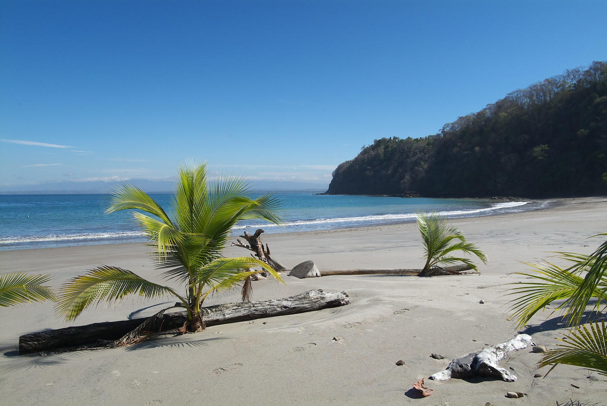 Пунта Леона, Пунтаренас провинция, Коста-Рика, фото № 41015 – фотографии Коста-Рики