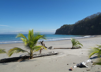 Пунта Леона, Пунтаренас провинция, Коста-Рика, фото № 41015 – фотографии Коста-Рики