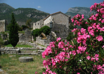 Цветы в Бар, Черногория – фотографии Черногории