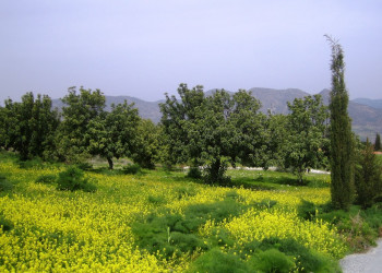 Лефкара, Кипр, фото № 38134 – фотографии Кипра