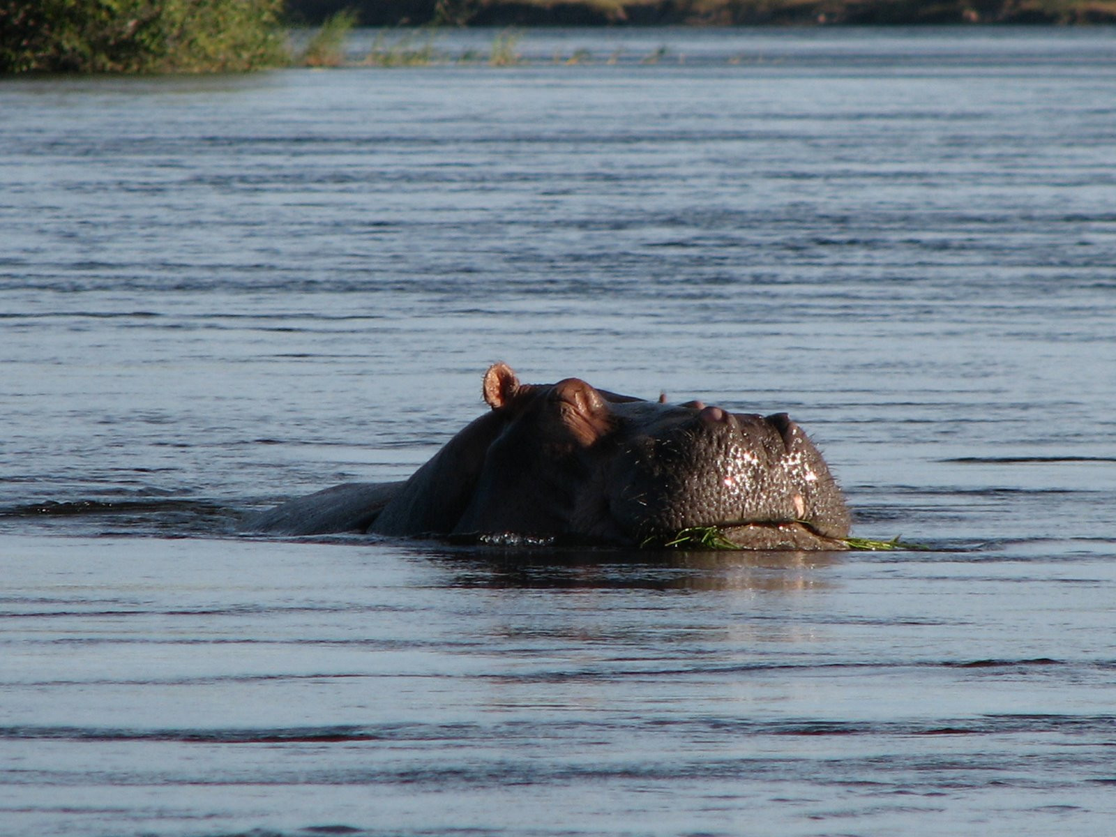 Замбия. Фото 26 – фотографии Замбии