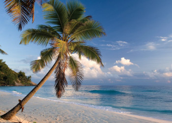 Пляж на острове Норт, Сейшелы – фотографии Сейшельских островов