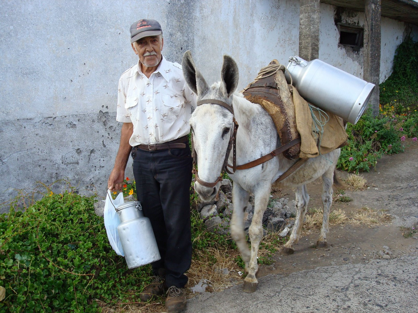 Эль-Йерро остров, Канарские острова, фото № 34669 – фотографии Канарских островов
