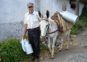 Эль-Йерро остров, Канарские острова, фото № 34669 – фотографии Канарских островов