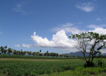 Вити Леву остров, Вити Леву группа островов, Фиджи, фото № 49669 – фотографии Фиджи