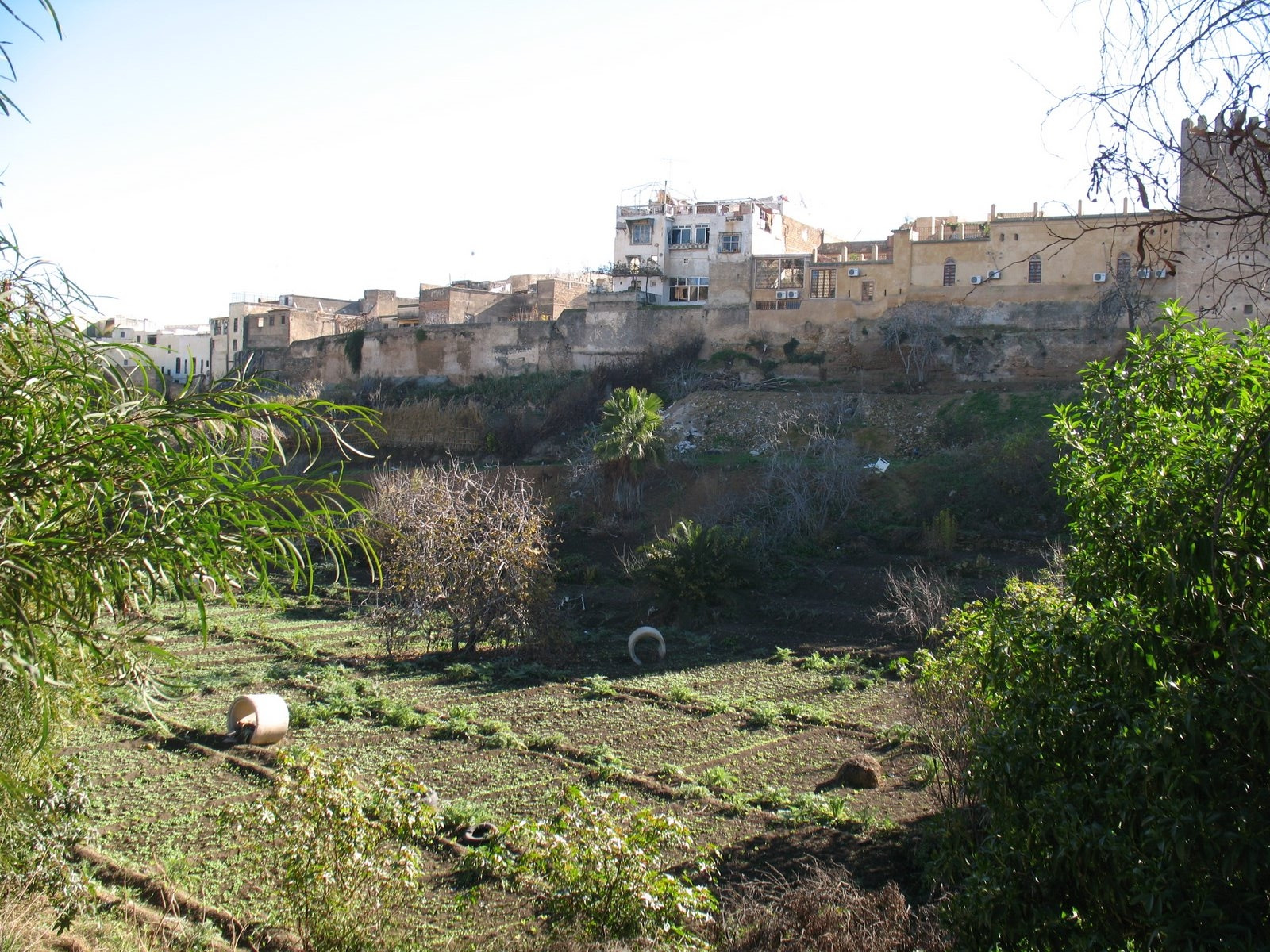 Фес, Марокко, фото № 8519 – фотографии Марокко