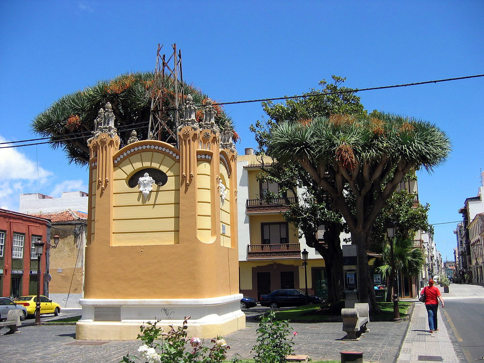 Сан-Кристобаль-де-ла-Лагуна, Тенерифе остров, Канарские острова, фото № 33258 – фотографии Канарских островов