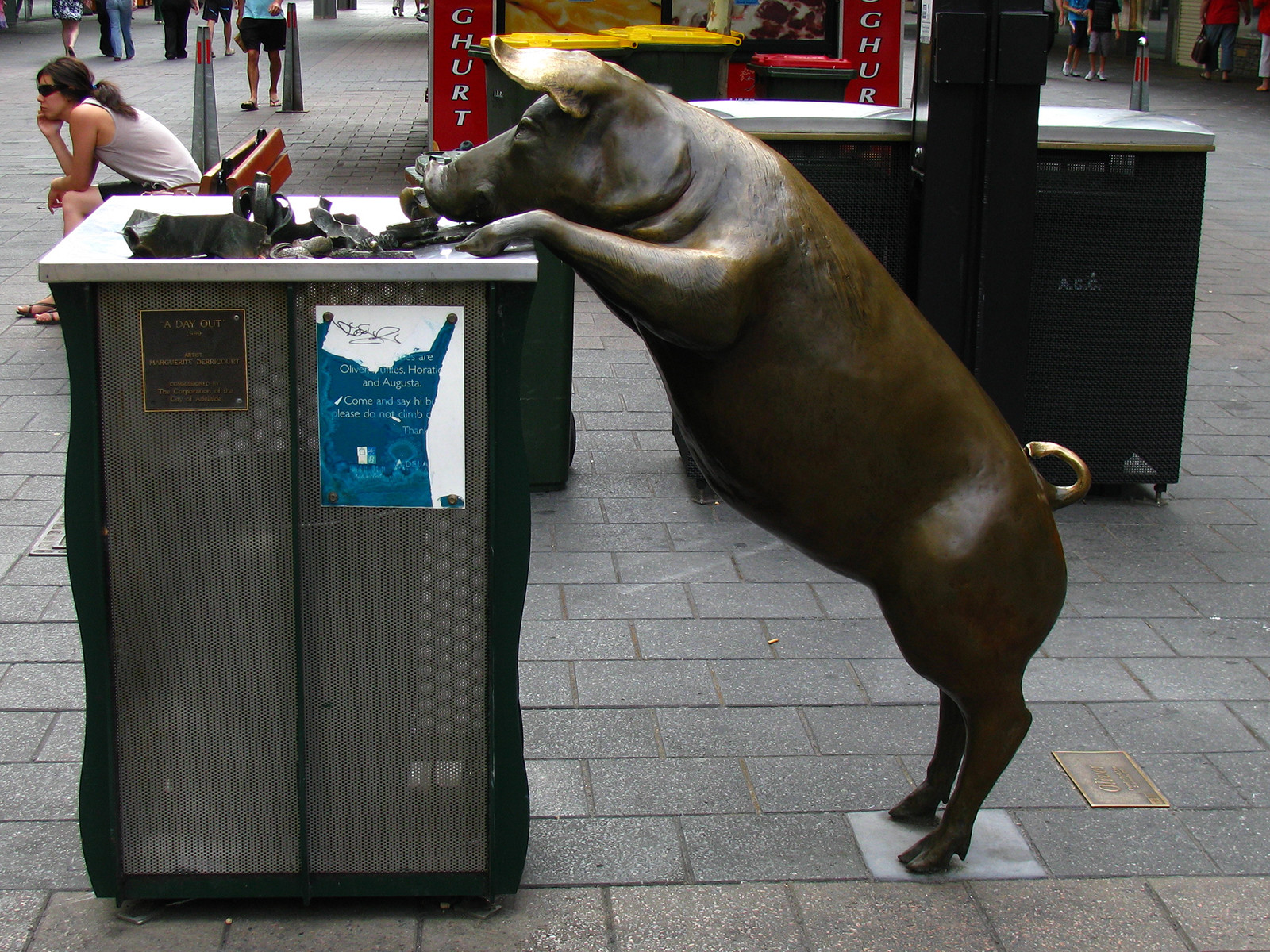 Свинка у мусорного бака в Аделаиде – фотографии Австралии