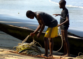 Камерун, фото № 3792 – фотографии Камеруна
